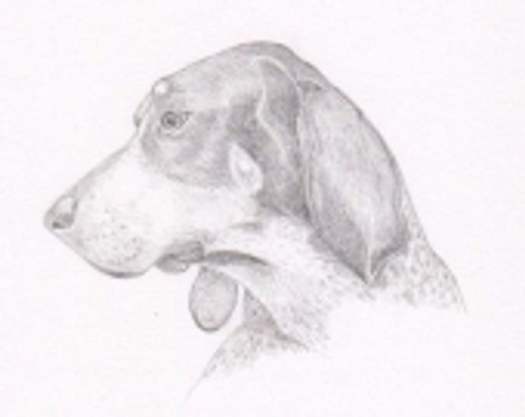 Cooper Halub Profile Photo