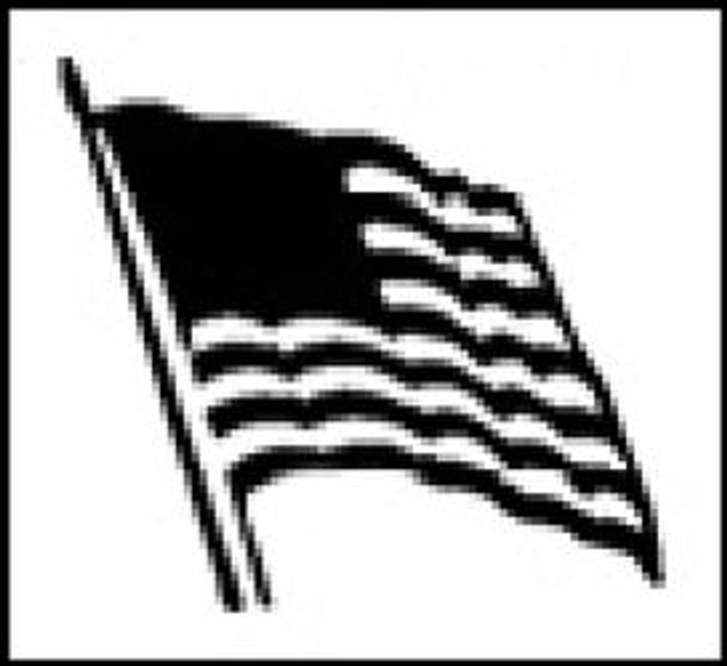 Michael Melluzzo Profile Photo