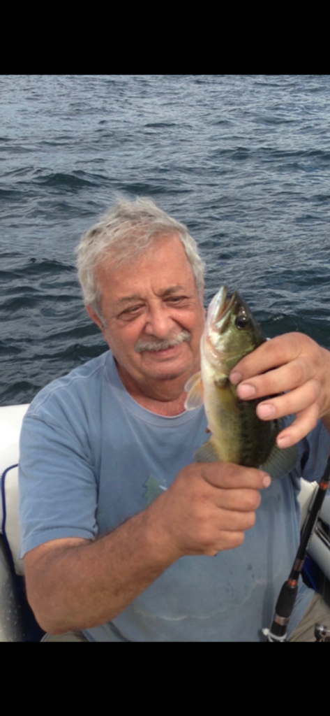 Georgios "George" D. Anthis Profile Photo