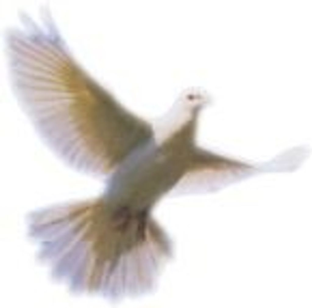 Peggy Louise Silvers Profile Photo