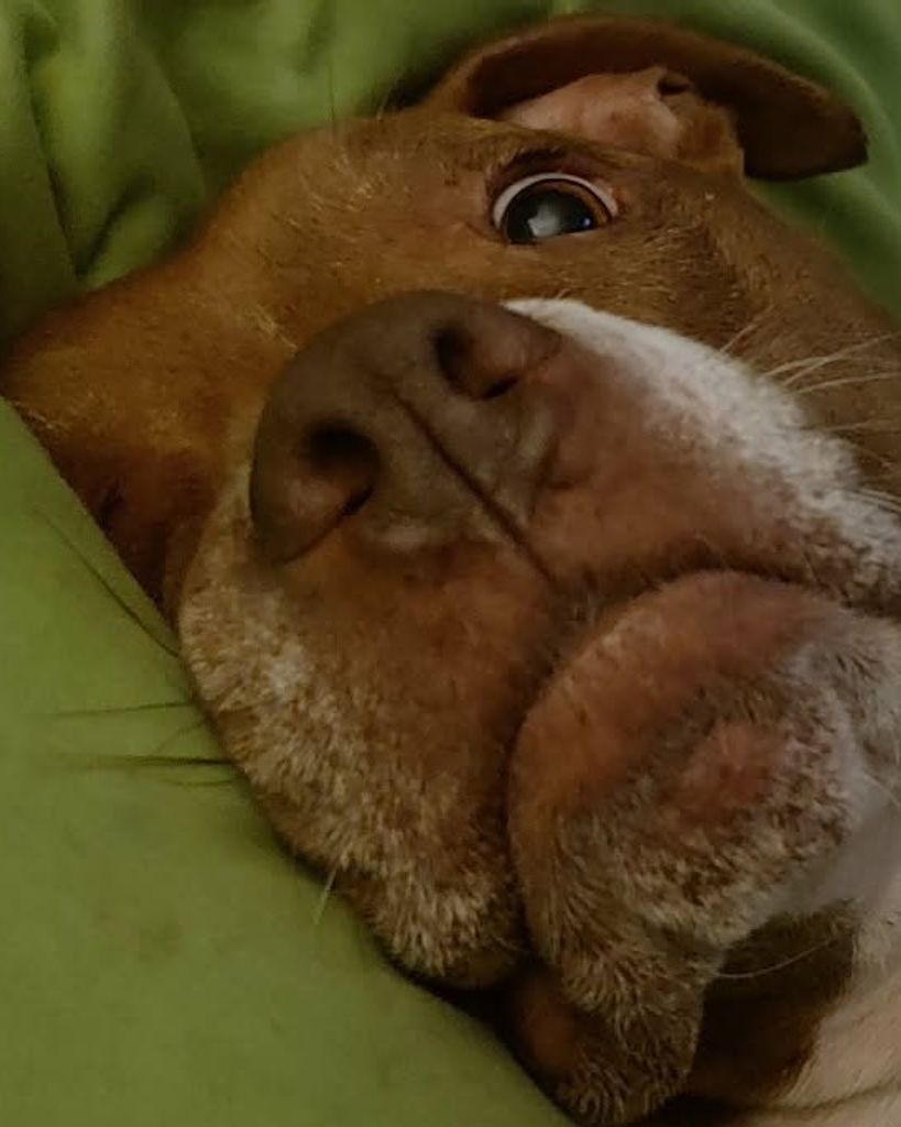 Booger “Boogey Monster” Landers