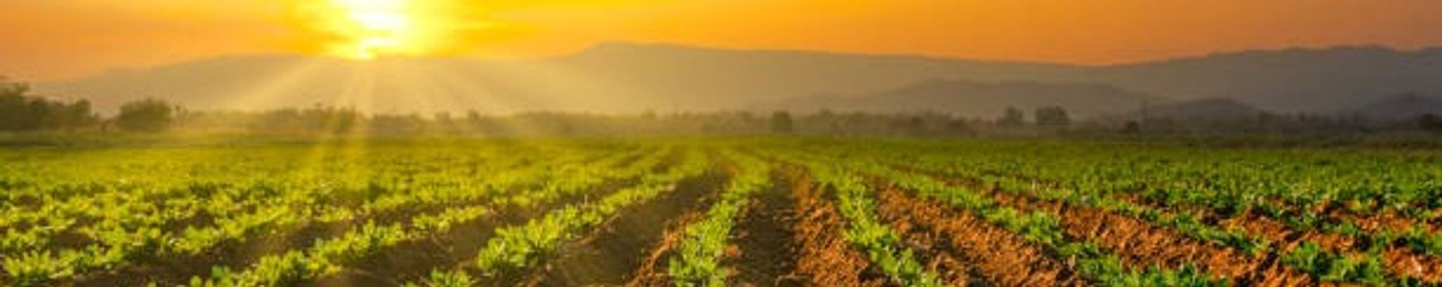 Cover for John Wesley Killion's Obituary