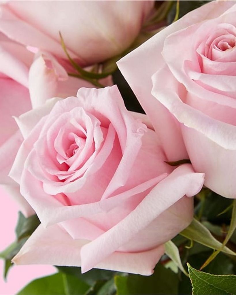 Maria Nudo Profile Photo