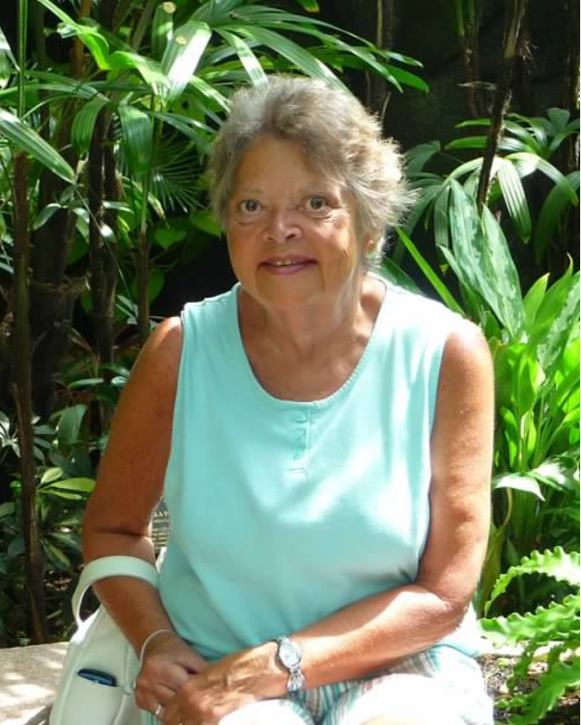 Carol Ann Kraft Walker