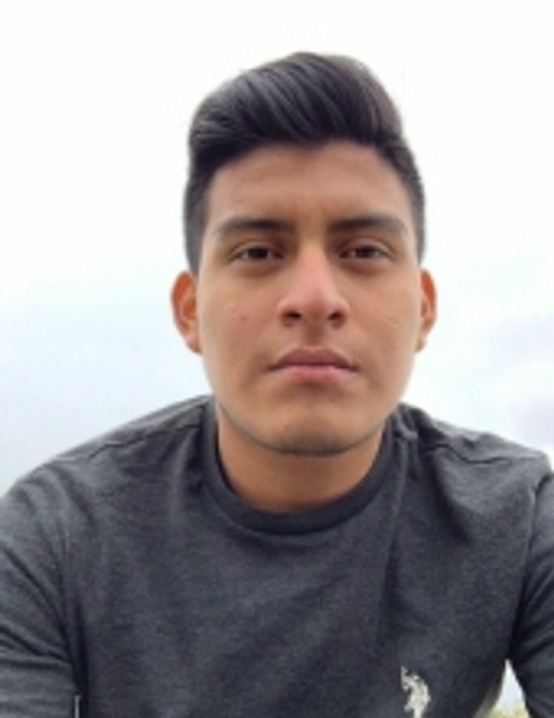 Carlos Enrique Collado Pu