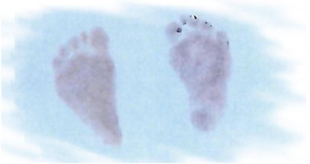 Eli Lane Riley