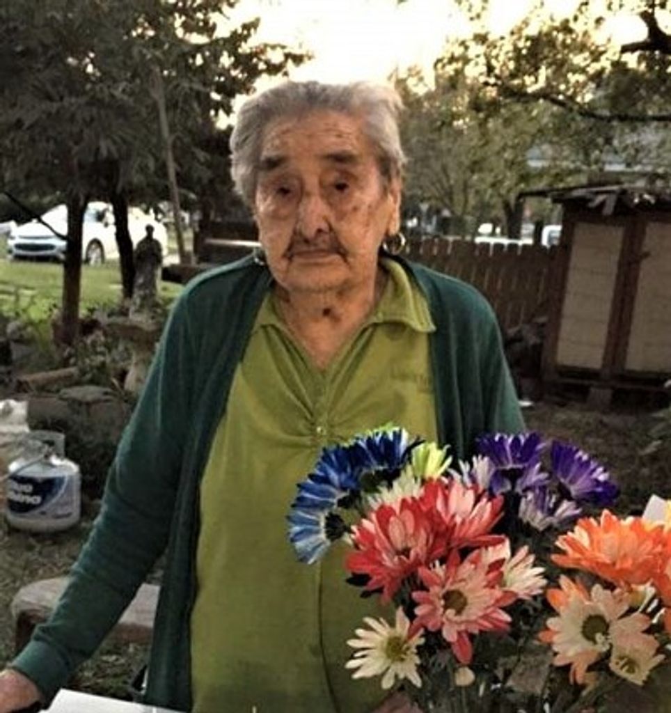 Damiana Salas Profile Photo