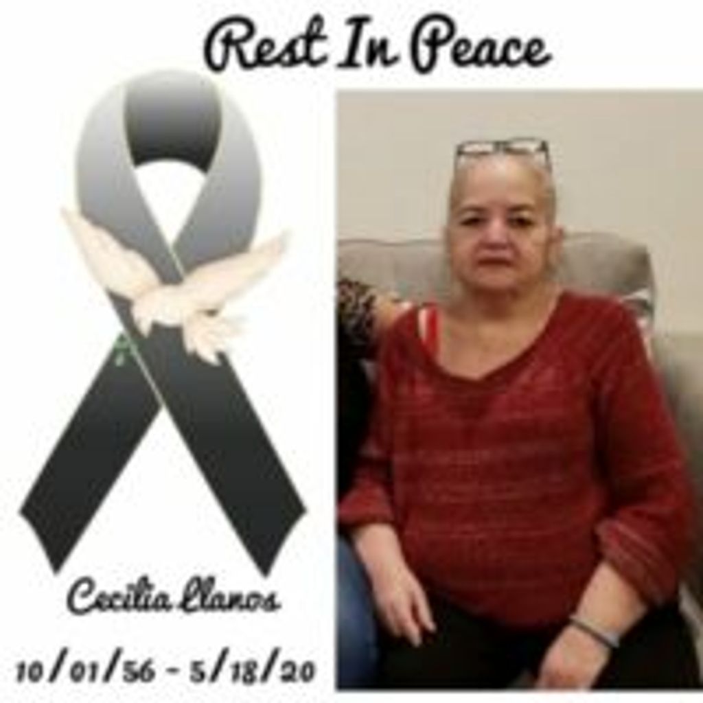 Cecilia Llanos Profile Photo
