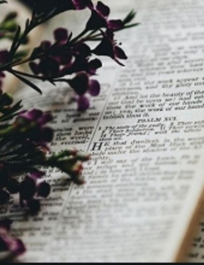 Roseann Zurko Carroll