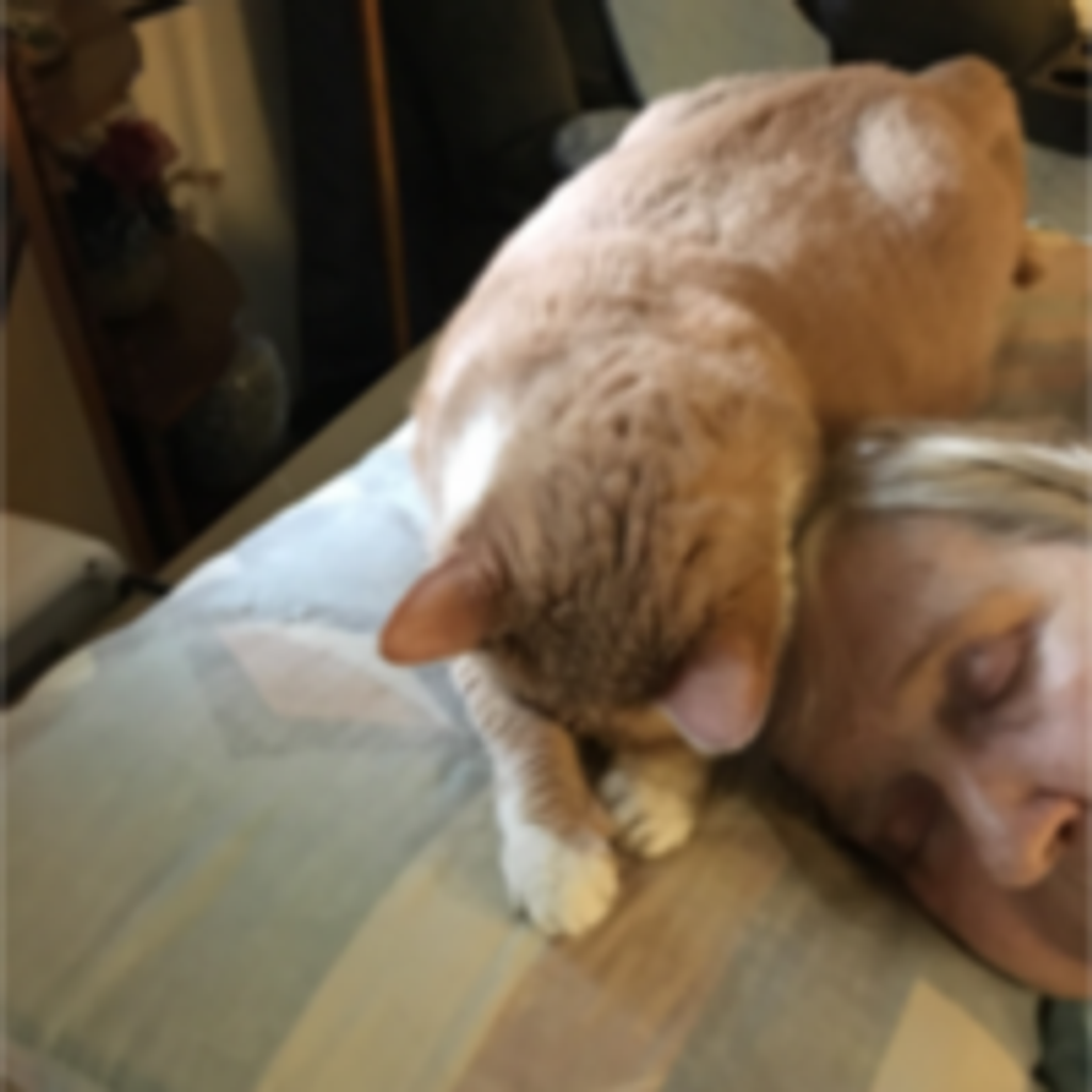Susan Tidewell Wade Profile Photo