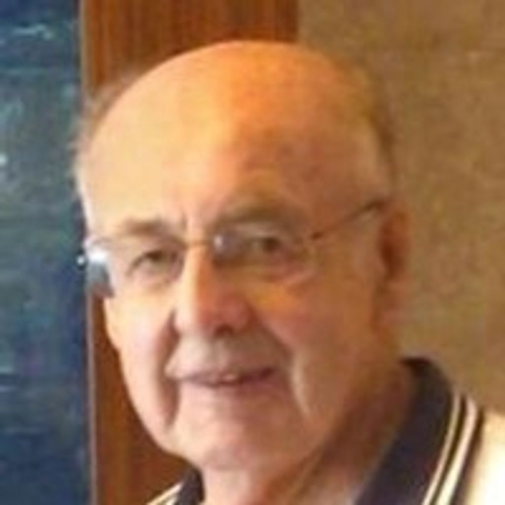 Harold W Johnson