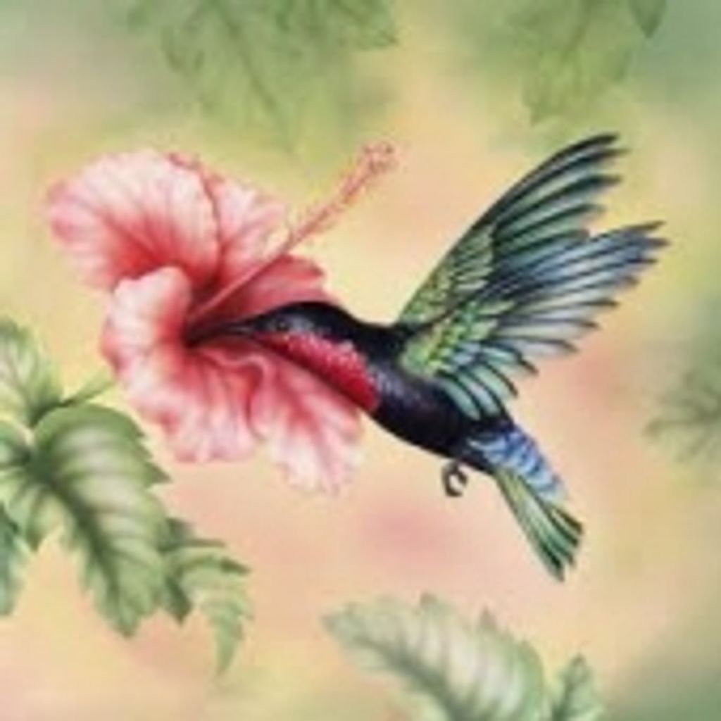 Beatrice M. (Warner) Stence