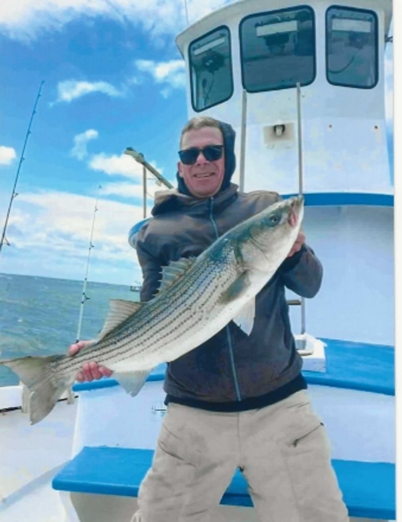 Stephen D. Knox Profile Photo