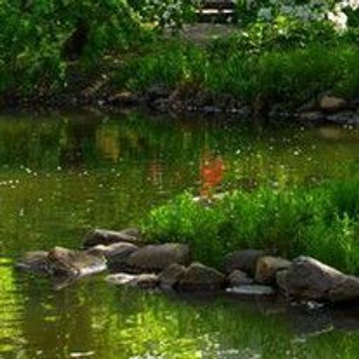 Kathy Shores Profile Photo