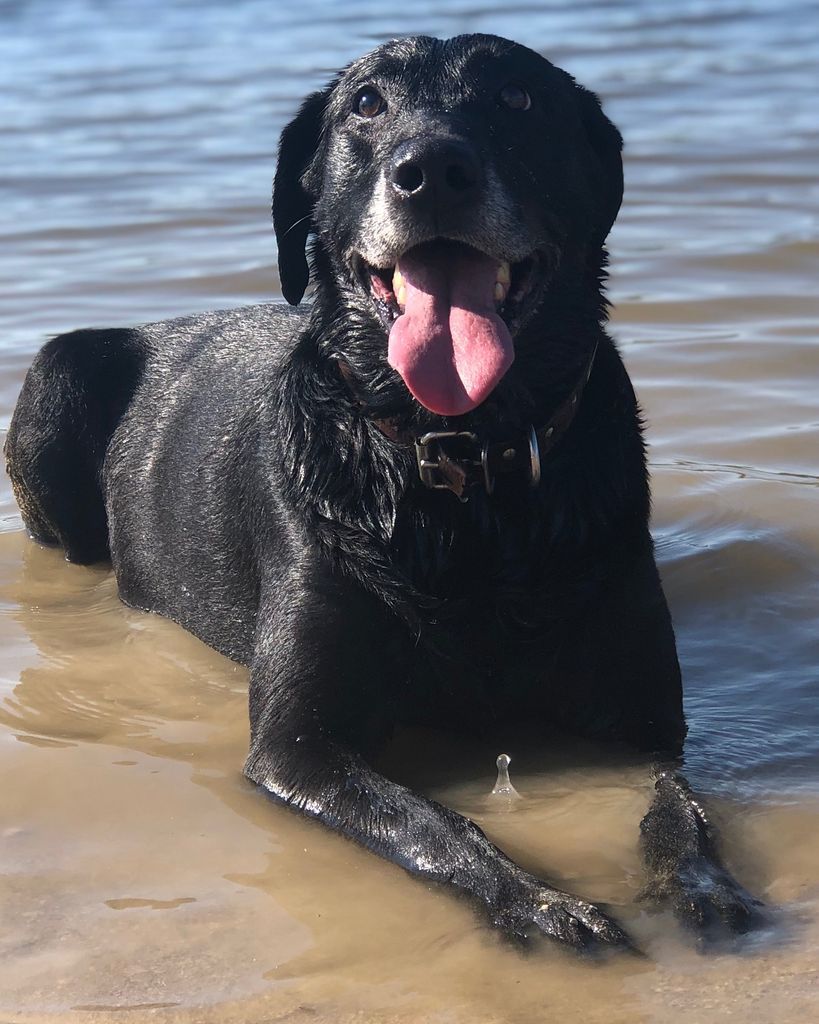 Buddy Henderson Profile Photo
