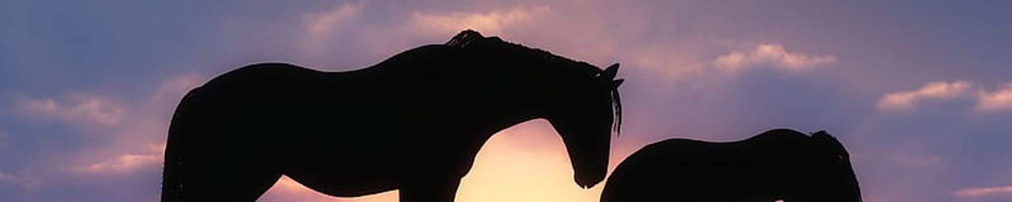Cover photo for Quintina Denette Lee's Obituary