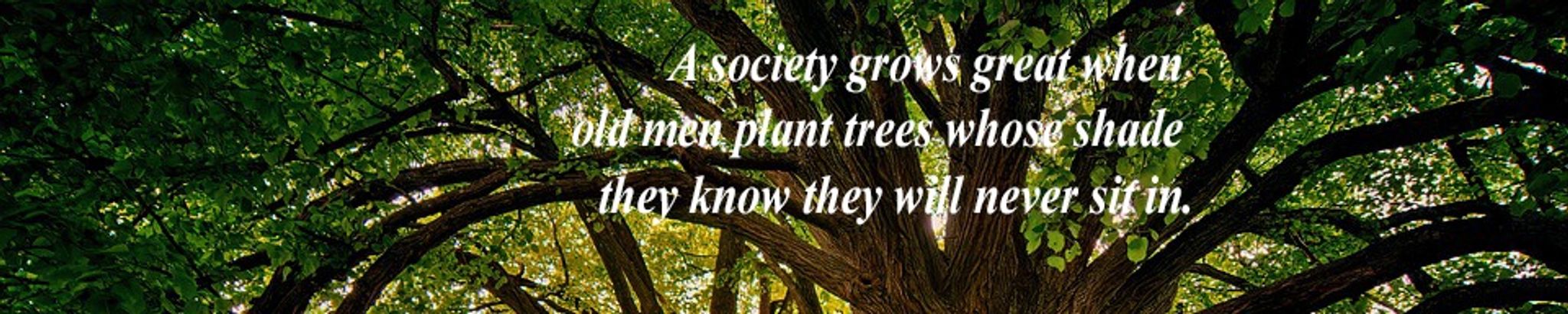 Cover for Harold Tuchel's Obituary