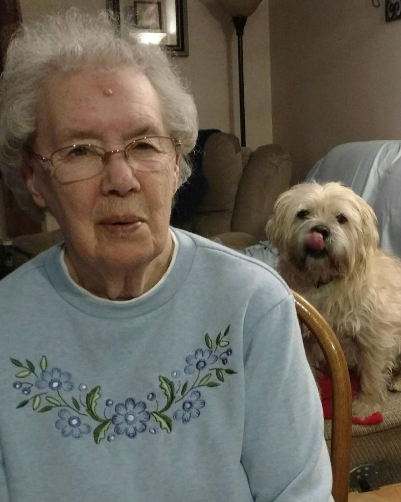 Dorothy Cheney Profile Photo
