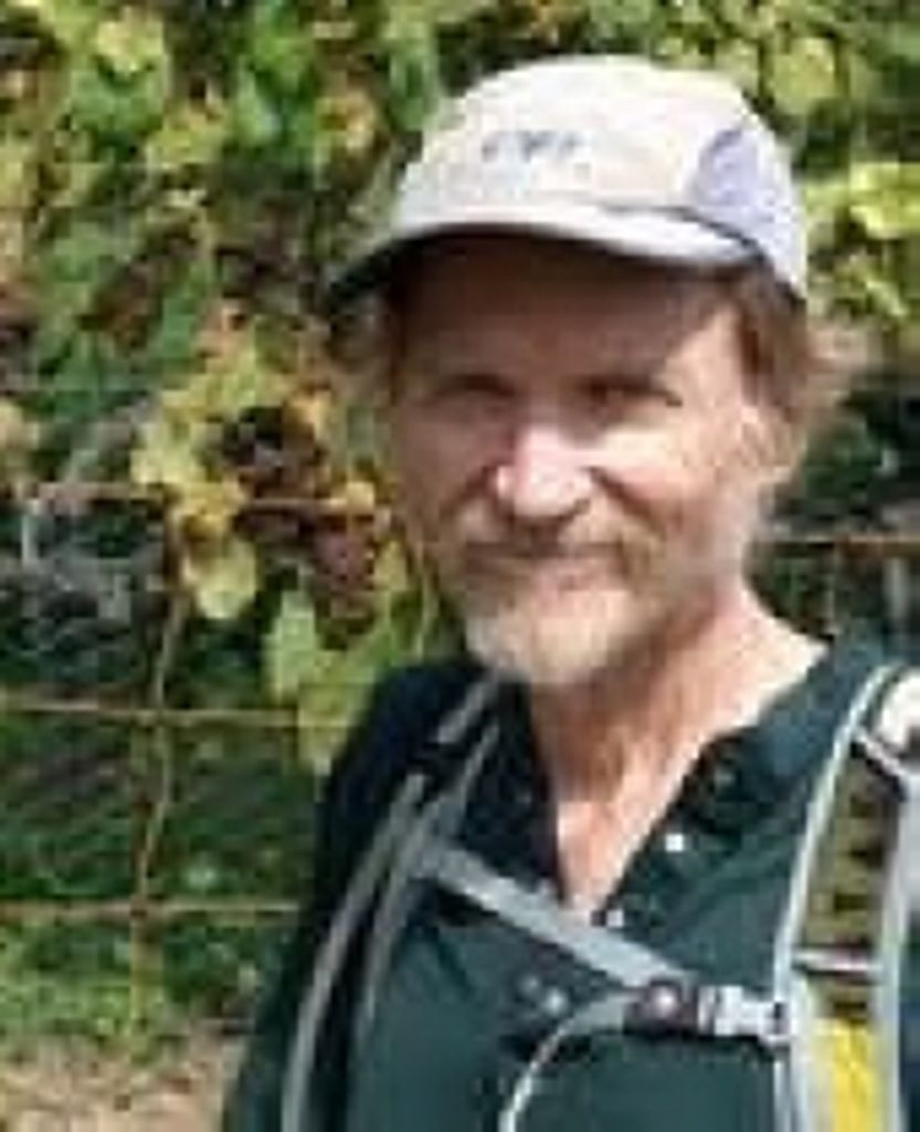 Dan Young