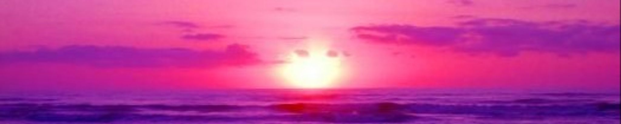 Cover for Holly Sue Frederick's Obituary