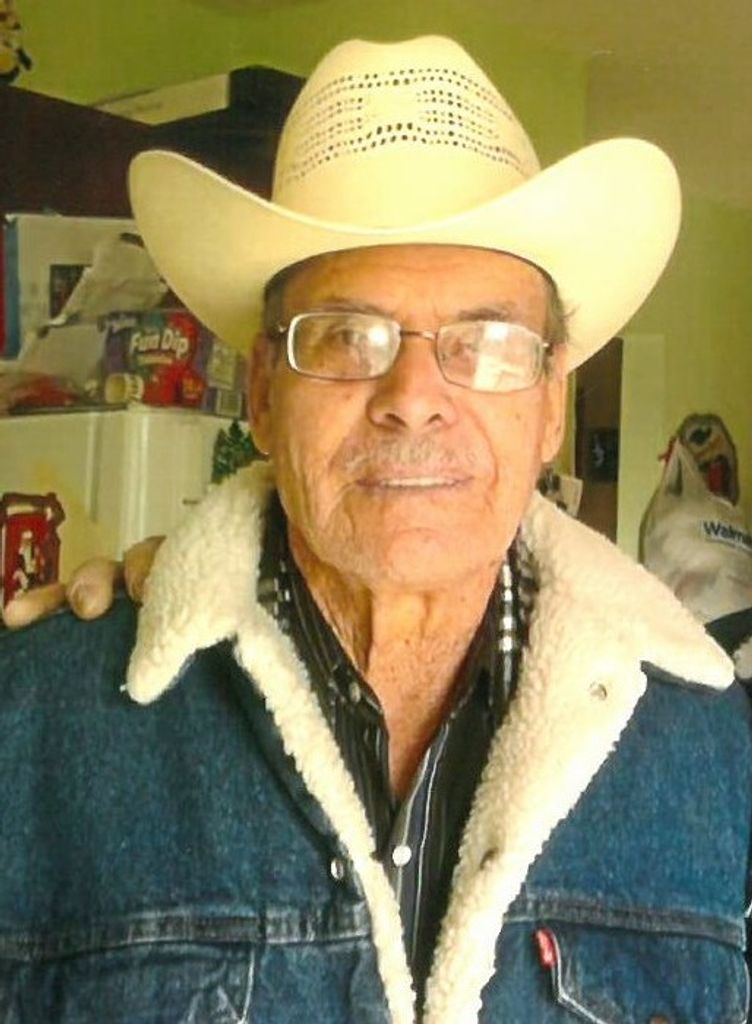 Mercedes "Meche" Ayala