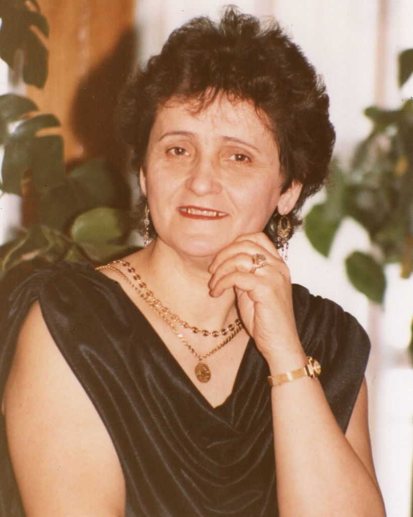 Meropi Steve