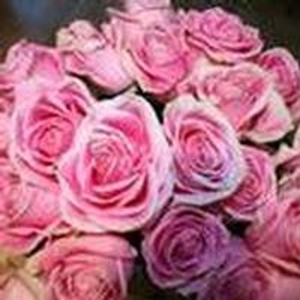 Beverly  Ann Zimmerman