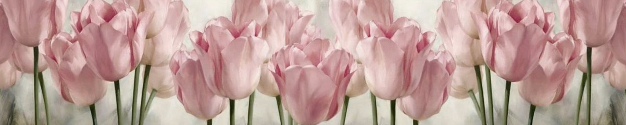 Cover photo for Barbara Hales's Obituary