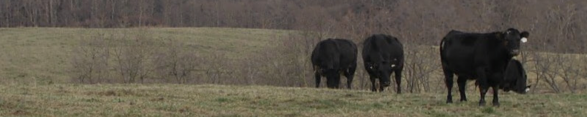 Cover for Lawrason R. Sayre's Obituary