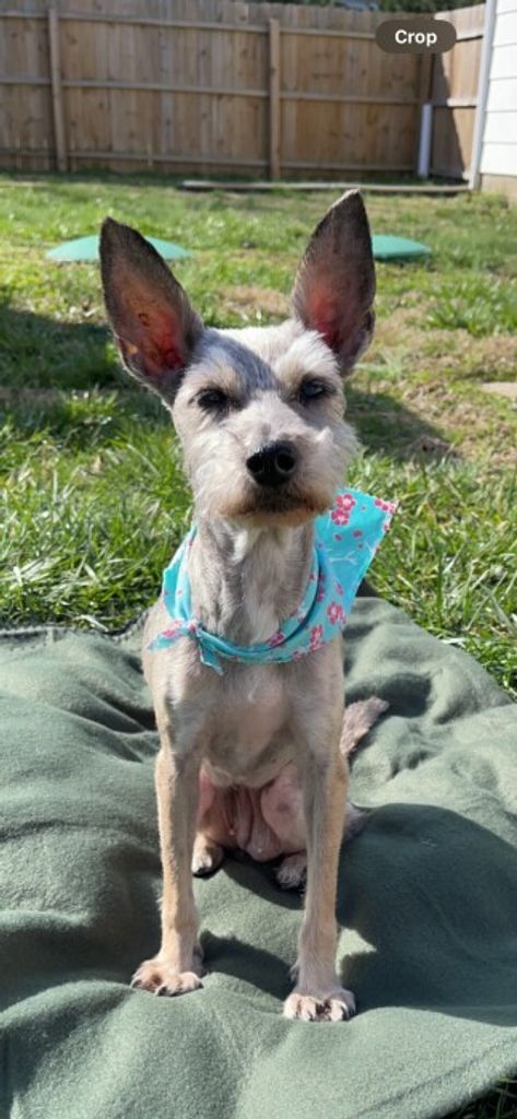 Daisy May Grammer Profile Photo