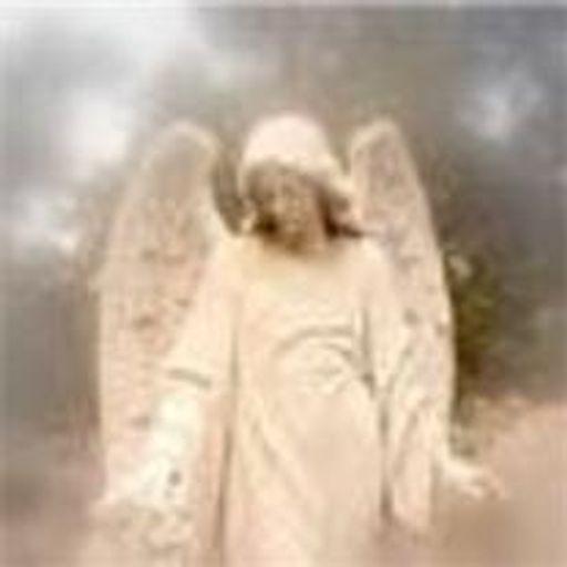 Francisca M. Medina Profile Photo