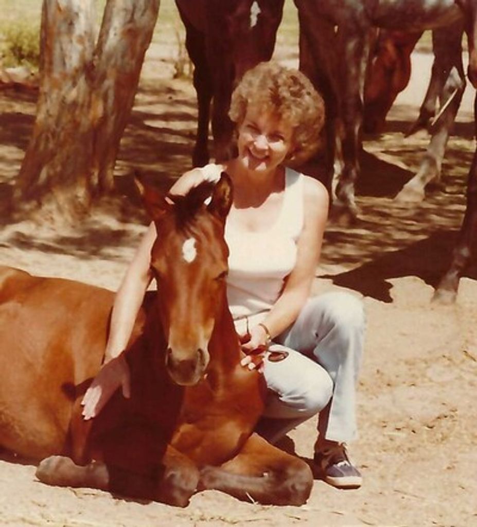 Nancy D Olsen Profile Photo
