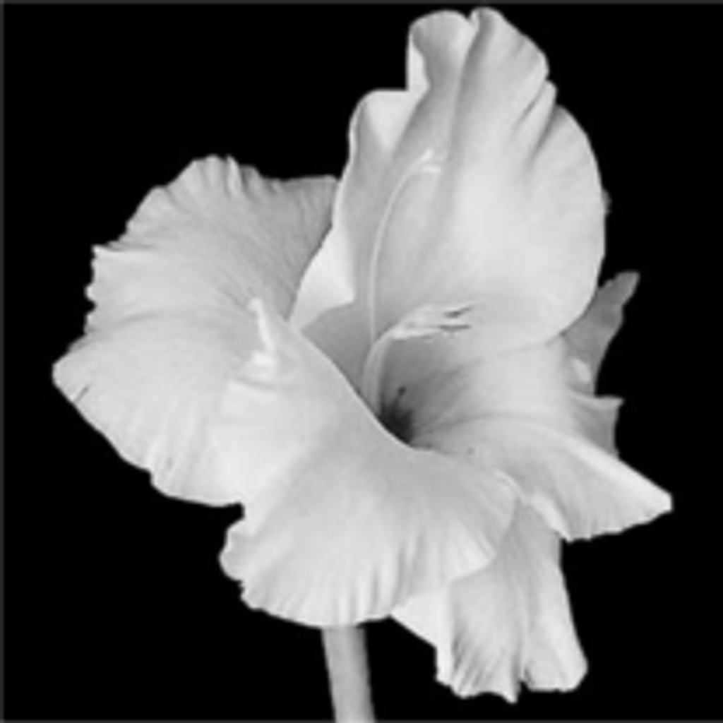 John Smith Profile Photo