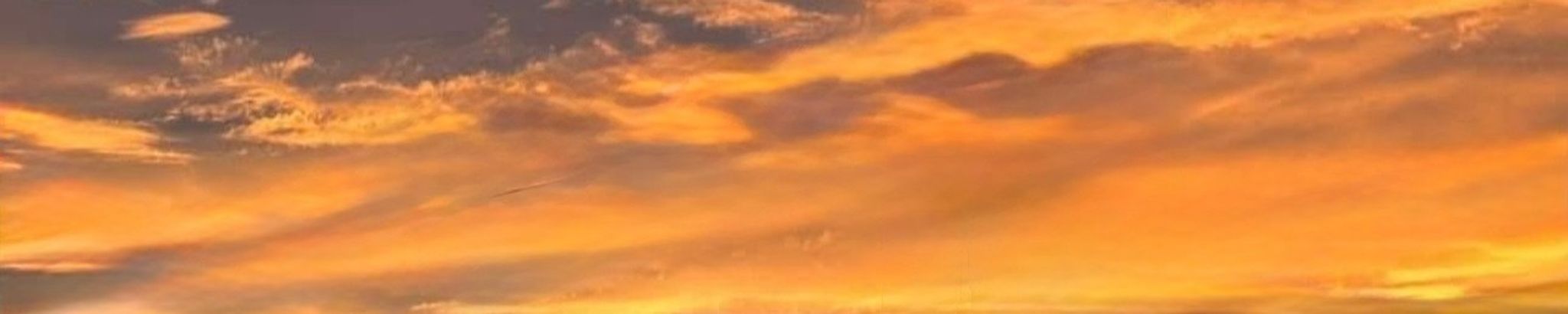 Cover photo for Macayla "Mac" Osterhout's Obituary