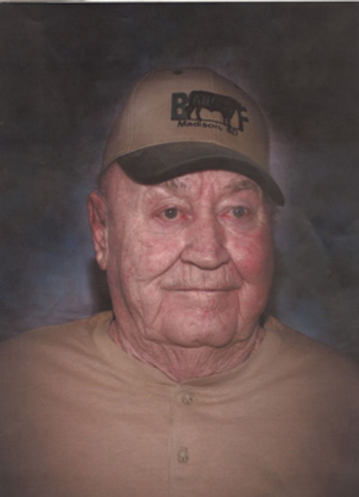 Donald Bachmann Profile Photo