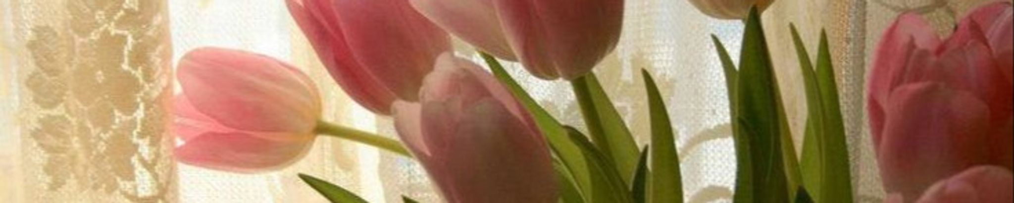 Cover photo for Brenda Gayle Ledford's Obituary