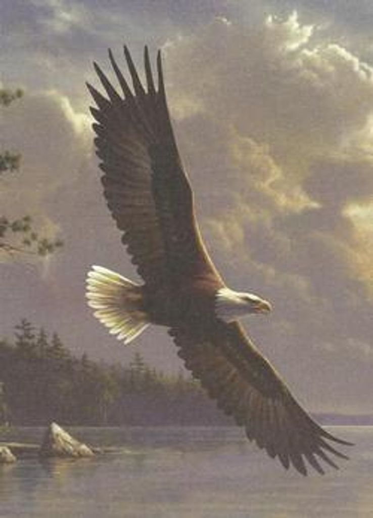 Walter James Goldsmith Profile Photo