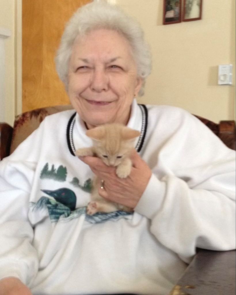 Sheila McDougall Profile Photo