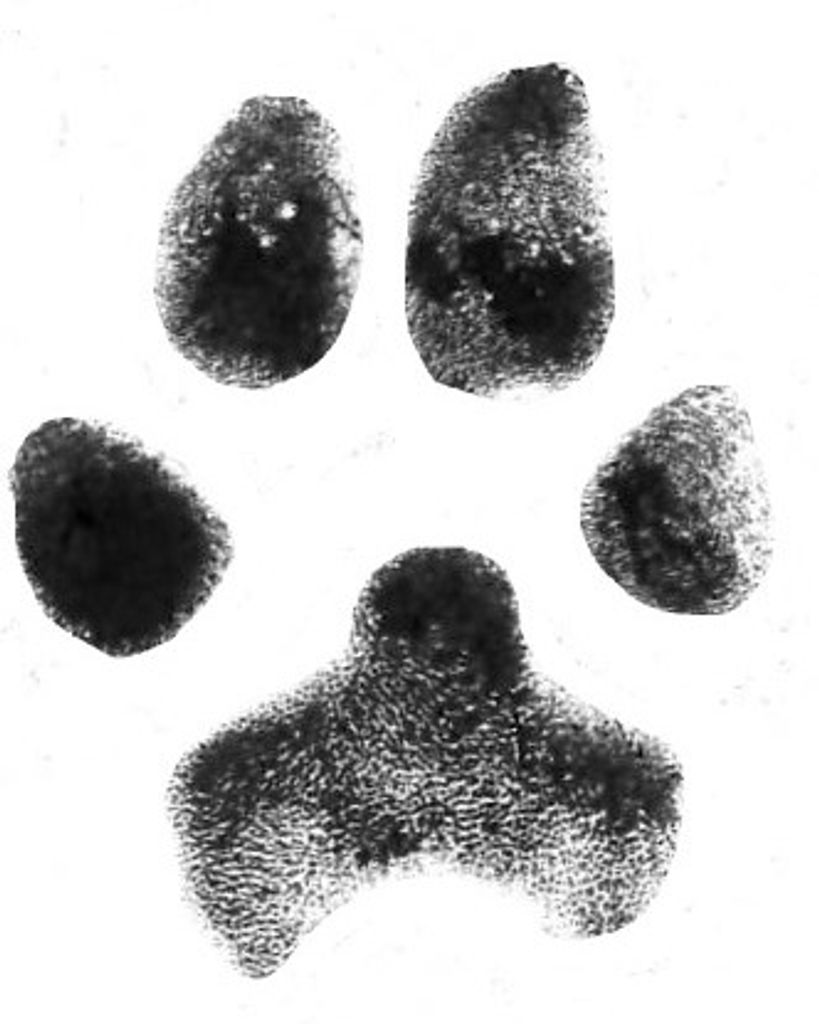 Darla Sutton Profile Photo