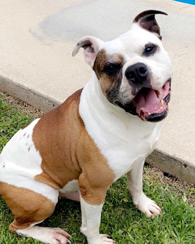 Kilo Vargas Profile Photo