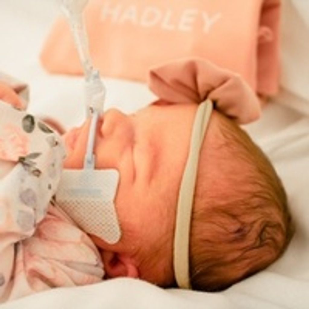 Hadley Rose Williamson Profile Photo