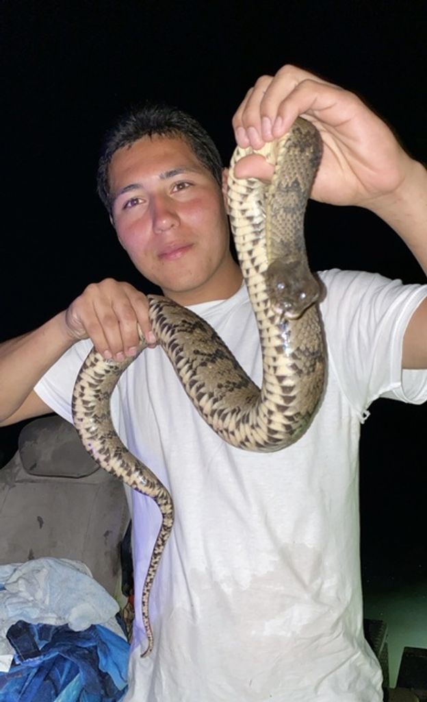 Jeremy Nathan Spears Profile Photo