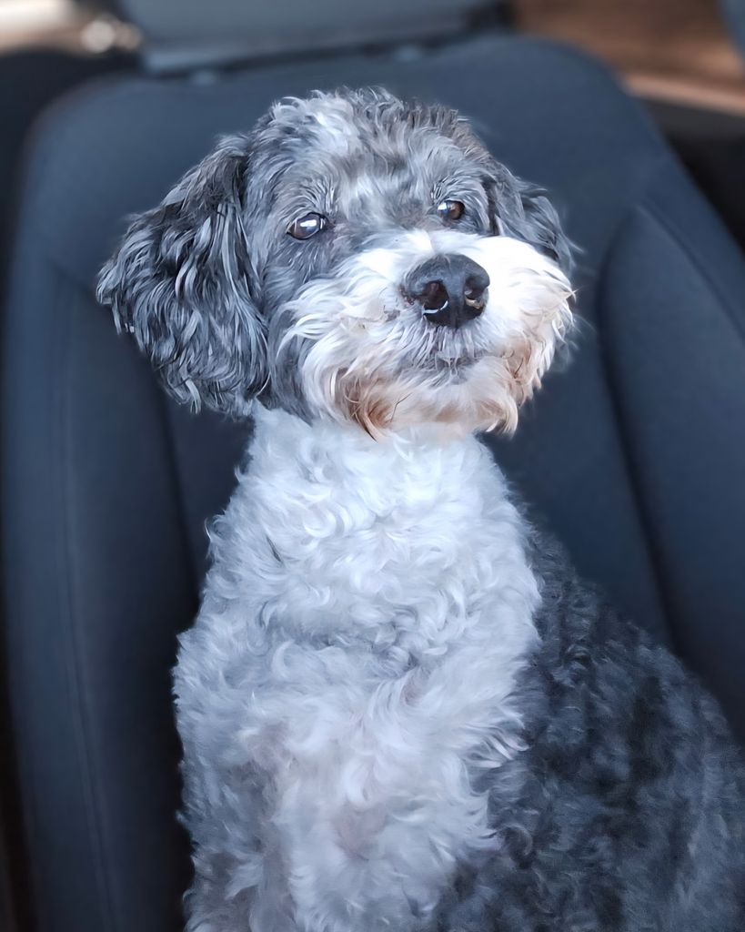 Marty Williams Profile Photo