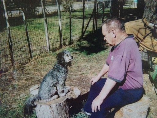 Paul William Straughan photo gallery thumbnail 56 of 125