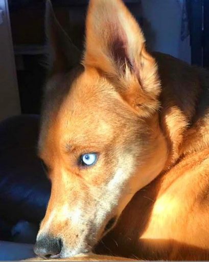Trixie Sloan's obituary image