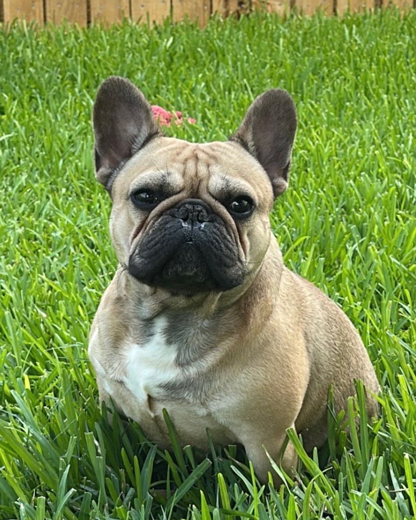 Cody 🖤 Profile Photo