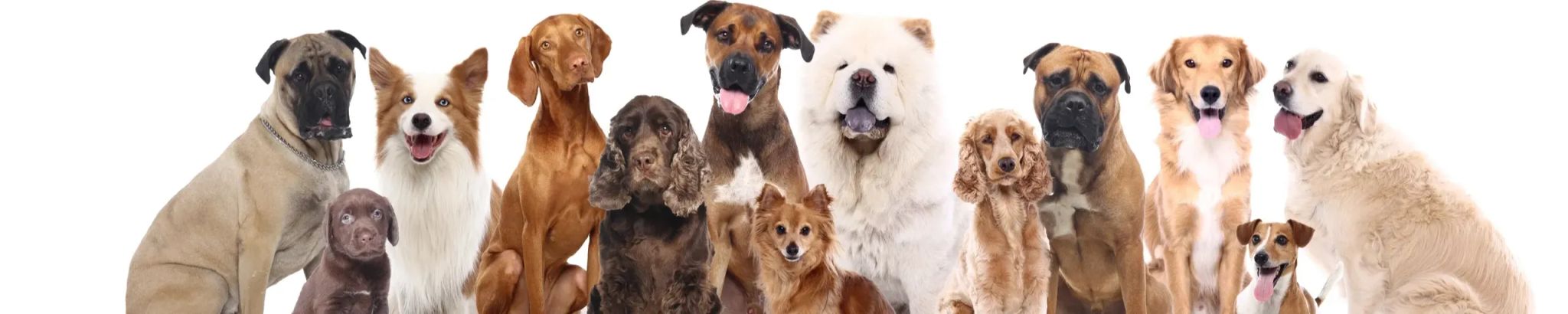 Cover for Leigh Blake's Obituary