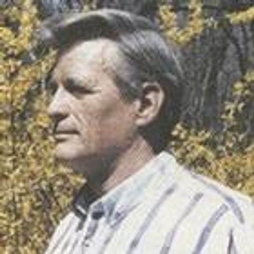 Donald E. Hutchison