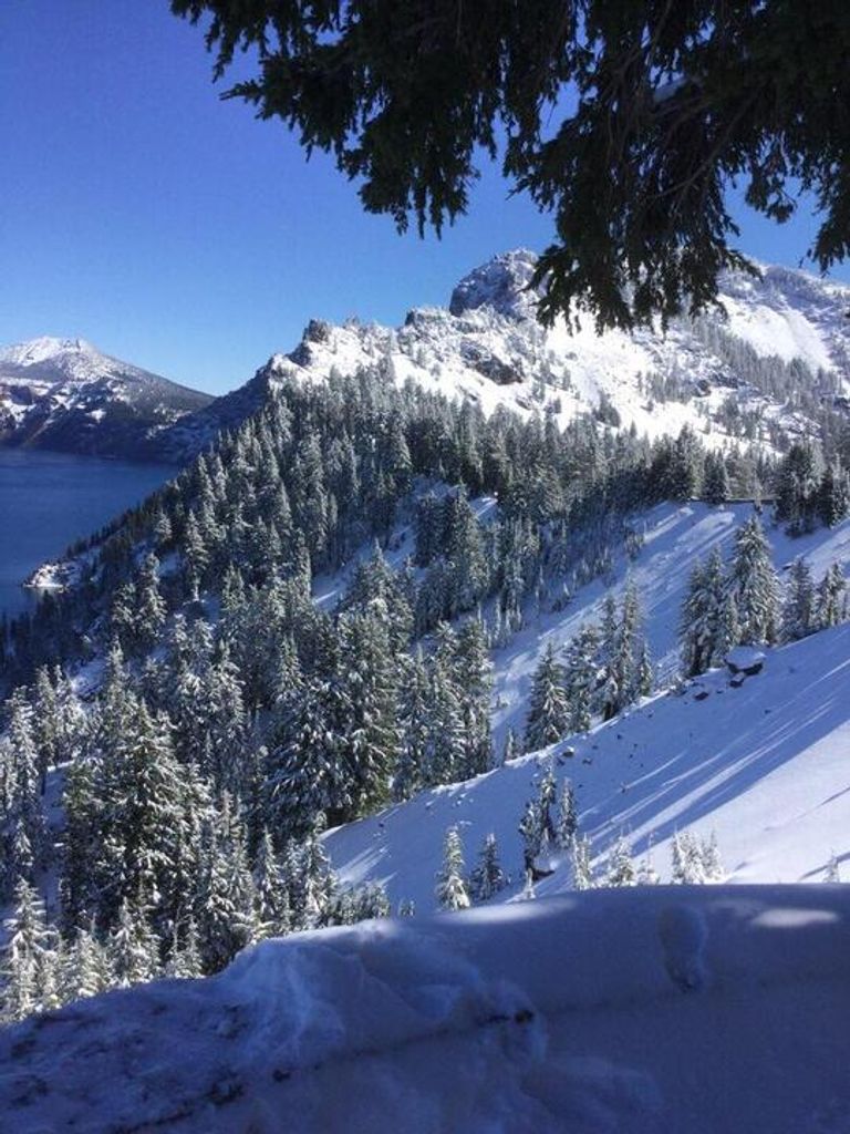 Robert Murray Profile Photo