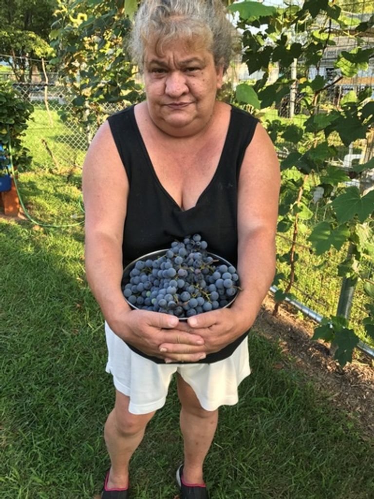 Patsy Ann Kunchick Profile Photo